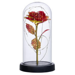 Fleur immortelle led ver