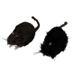 Rat noir ou marron décoration Halloween